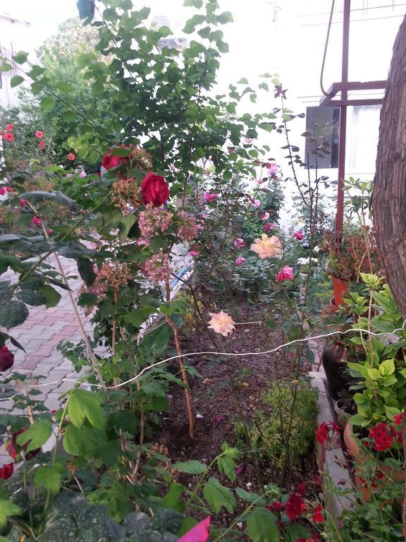 Homestay Keramos